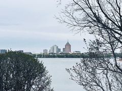 -长春市南湖公园