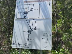 -大岭沟猕猴桃谷风景区