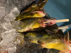 黄辣丁-王家渡火锅店(棕榈泉店)