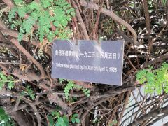 -北京鲁迅博物馆(北京新文化运动纪念馆鲁博馆区)