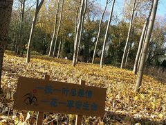 -森林公园(尖草坪区)