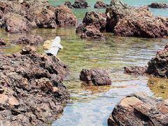 -西涌国际滨海旅游区