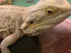 -藦茜花园宠物主题亲子互动体验馆(国顺东路店)