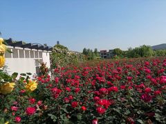 -龙寺生态园
