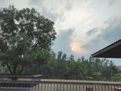 -白鹭湾湿地公园