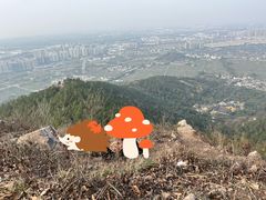 -树山生态村