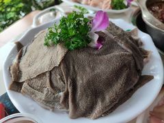 -枇杷园食为鲜火锅(南山店)