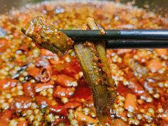 生烹油淋鳝鱼-拂晓山房·私房川菜(西门店)