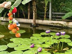 -国家植物园南园