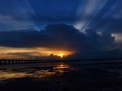 -宝安西湾红树林湿地公园