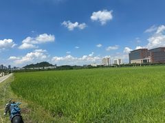 -光明小镇欢乐田园