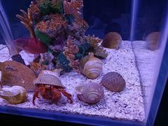 -太平洋海底世界