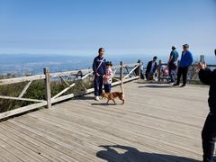 -阳台山自然风景区