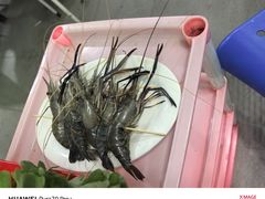 -花苑美食横琴生蚝火锅(拱北粤华路店)
