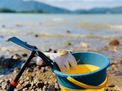 -坝光海滩