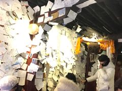 -古树酸奶(八廓南街店)