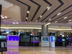 -红星美凯龙(上海沪南店)
