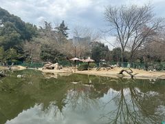 -红梅公园