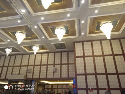 -欧亚美国际大酒店·宴会厅