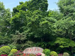 -浙江西子宾馆·瑶园咖啡厅