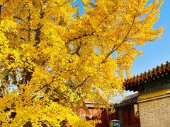 -北京石刻艺术博物馆(五塔寺)