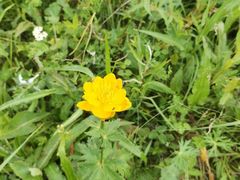 -白草畔自然风景区