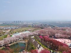 -古柏渡飞黄旅游区