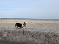 -兆辉木炭海鲜烧烤·海鲜小炒