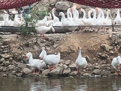 -济南马套将军山