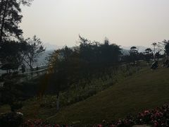 -铁山坪森林公园