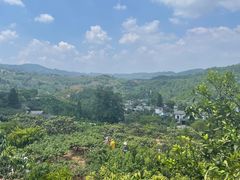 -桃源山庄·水蜜桃采摘·柴火鸡·烧烤团建(龙泉山店)