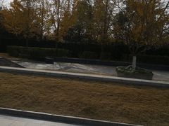 -金陵图书馆