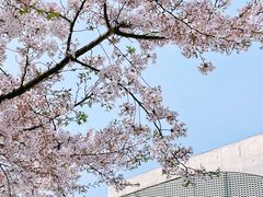 -龙美术馆(西岸馆)