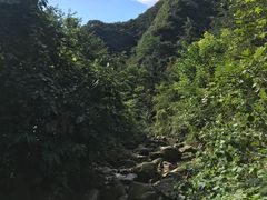 -西安祥峪森林公园