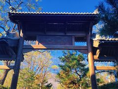 -阳台山自然风景区