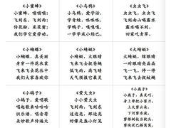 -澳洲袋鼠早教(南二环店)