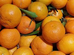 -港华水果街(港华广场店)