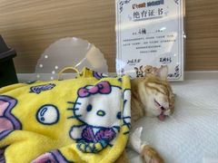-达爱动物医院·犬猫分区·CT·复杂眼科(远洋山水分院)