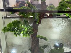 -小八仙·宴(三峡茶庄店)