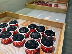 -玫瑰花园自助烤肉(顺义鑫海韵通店)