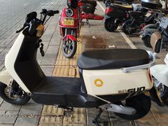 -新日电动车(六一店)
