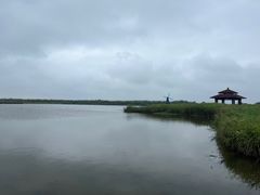 -宁波杭州湾国家湿地公园