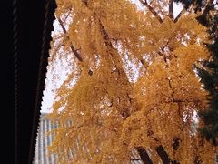 -恭王府博物馆