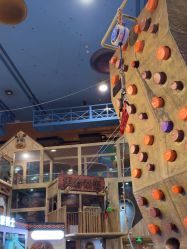 -卡通尼·Safari非洲探索乐园·生日会(金桥国际商业广场店)