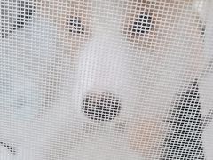 -美联众合24小时·皮肤科·外科·全科诊疗中心(华苑分院)