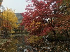 -北海道厅旧本厅舍(旧本庁舎)