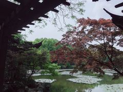 -杭州植物园
