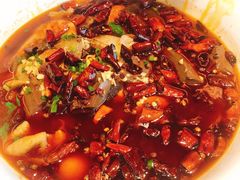 海鲜毛血旺-京华烟云·北京烤鸭(领展购物广场·中关村店)