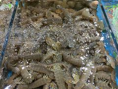 -紫阳海鲜楼·传承闽味(长乐路总店)