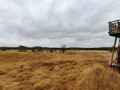 -塞罕坝国家级自然保护区